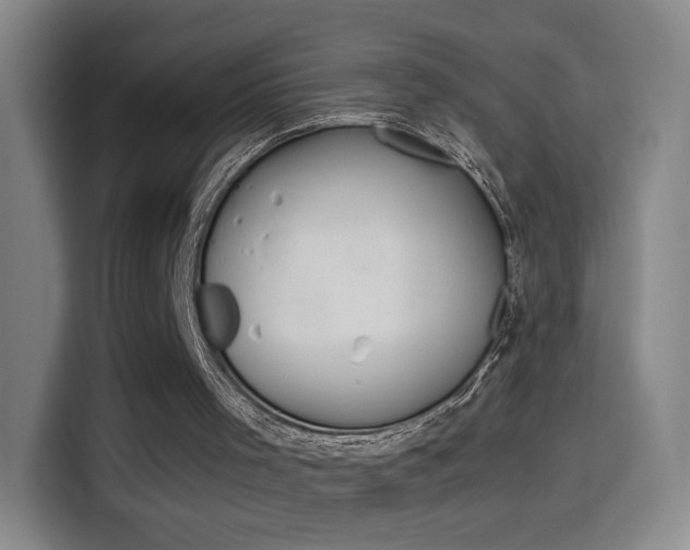 X0000114560001200910191020