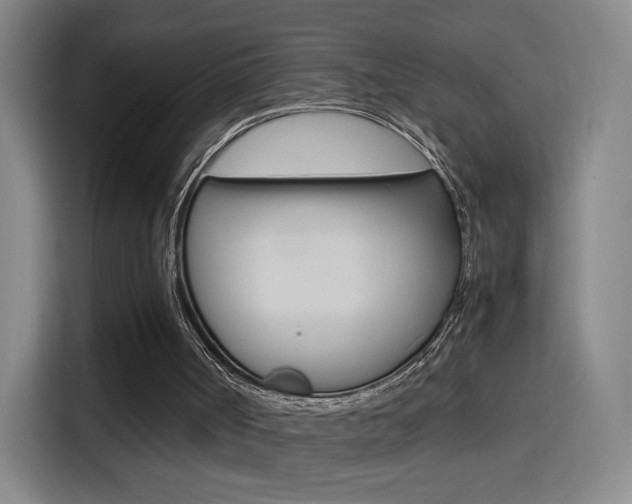 X0000114560002200910191020