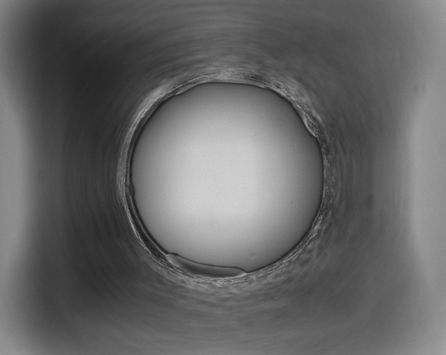 X0000114560003200910191020