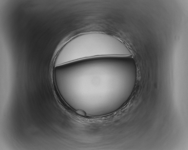 X0000114560004200910191020