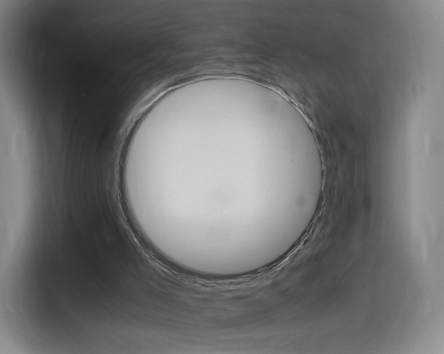 X0000114560005200910191020
