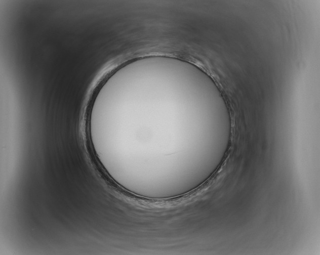 X0000114560006200910191020
