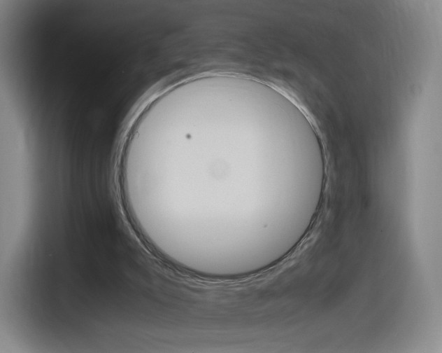 X0000114560007200910191020
