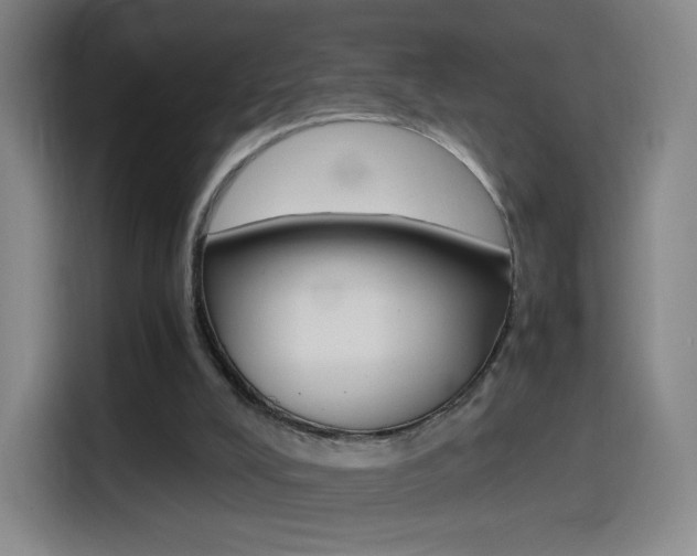 X0000114560008200910191020