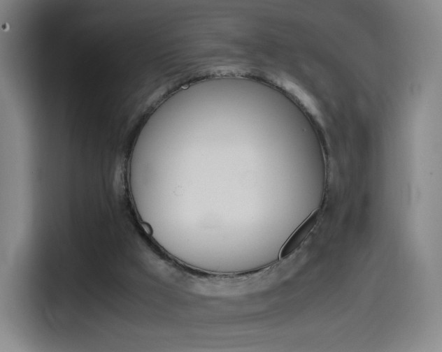 X0000114560009200910191020