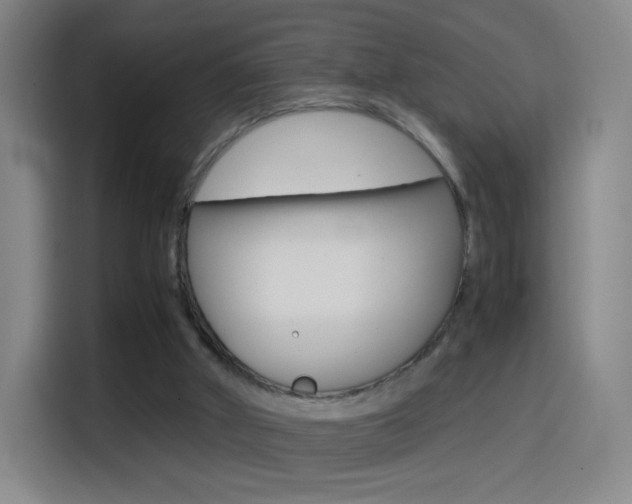 X0000114560010200910191020