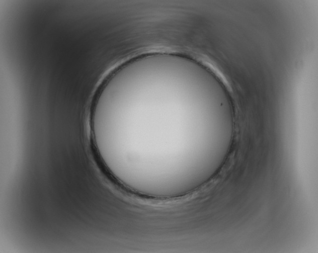 X0000114560011200910191020