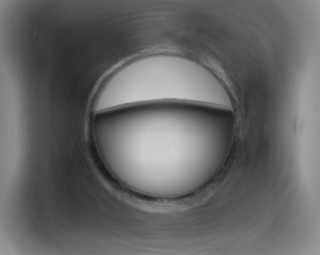 X0000114560012200910191020