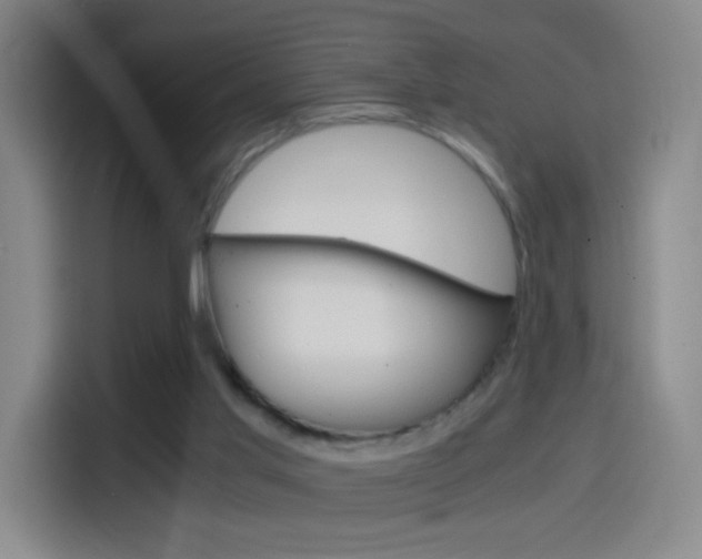 X0000114560013200910191020