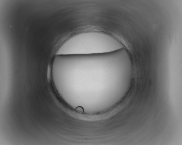 X0000114560014200910191020