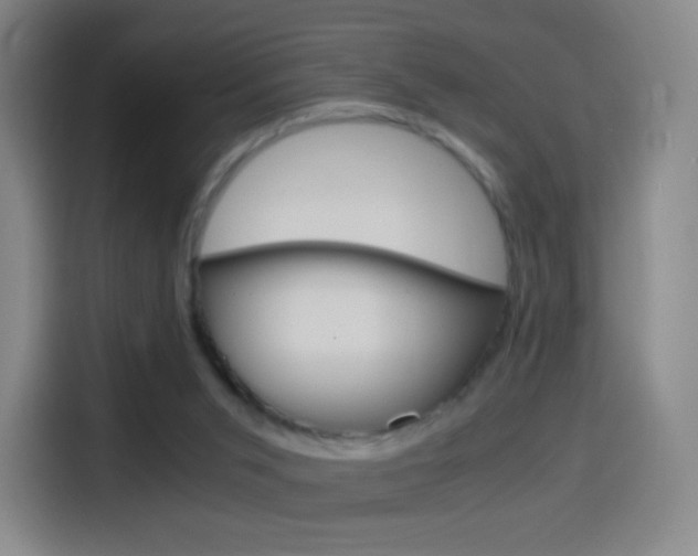 X0000114560015200910191020