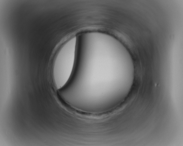 X0000114560016200910191020