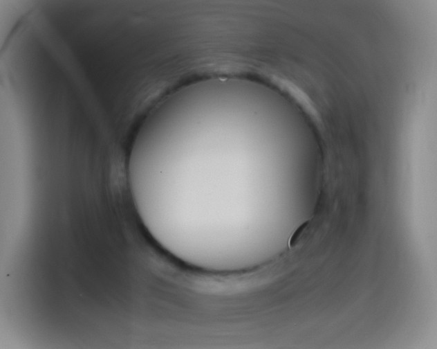 X0000114560017200910191020