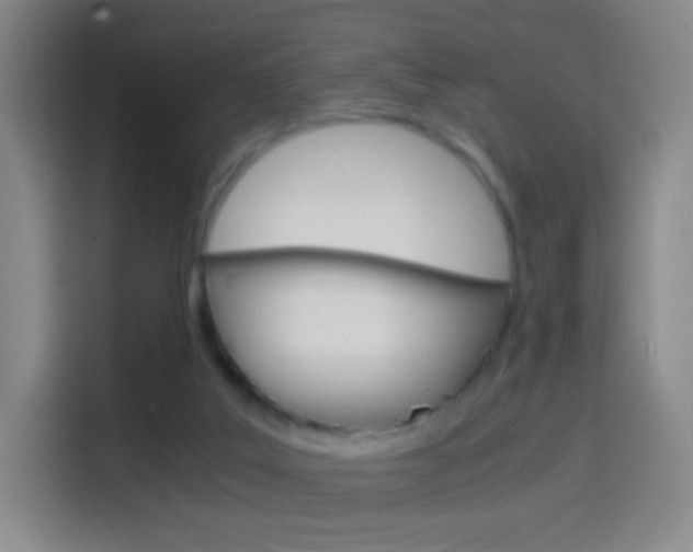 X0000114560019200910191020
