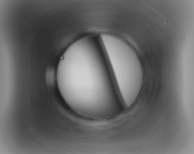 X0000114560024200910191020