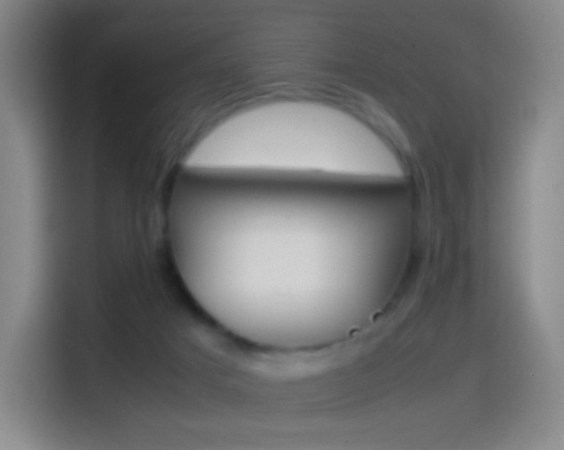 X0000114560025200910191020