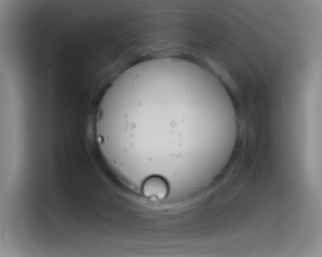 X0000114560026200910191020