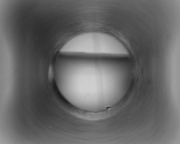 X0000114560027200910191020