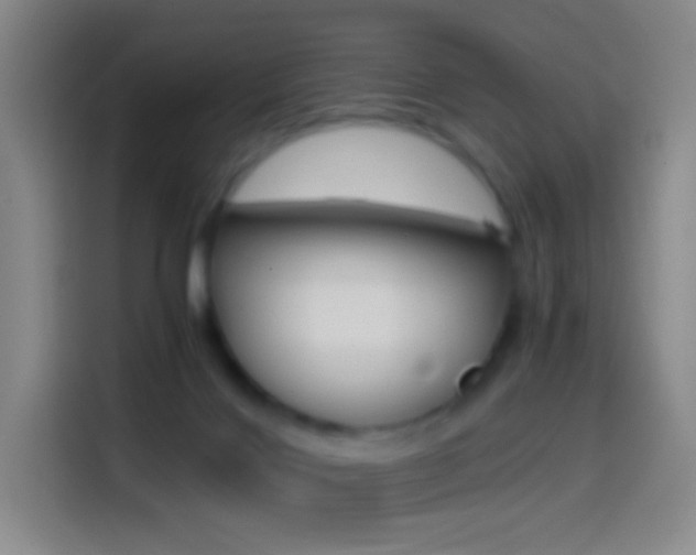 X0000114560028200910191020