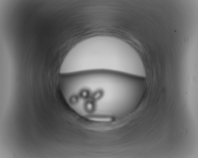 X0000114560029200910191020