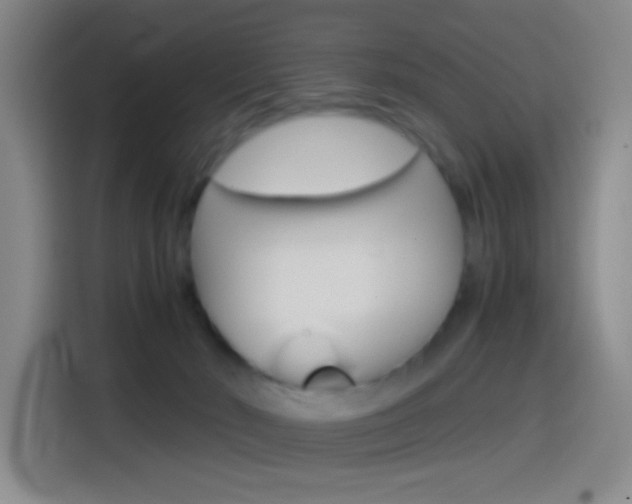 X0000114560030200910191020
