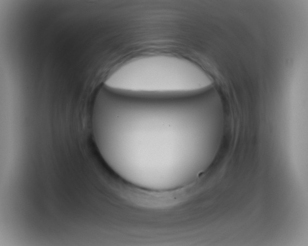 X0000114560031200910191020