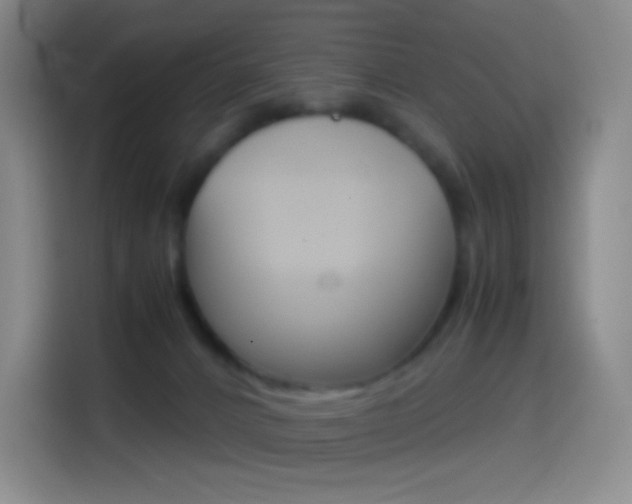 X0000114560032200910191020
