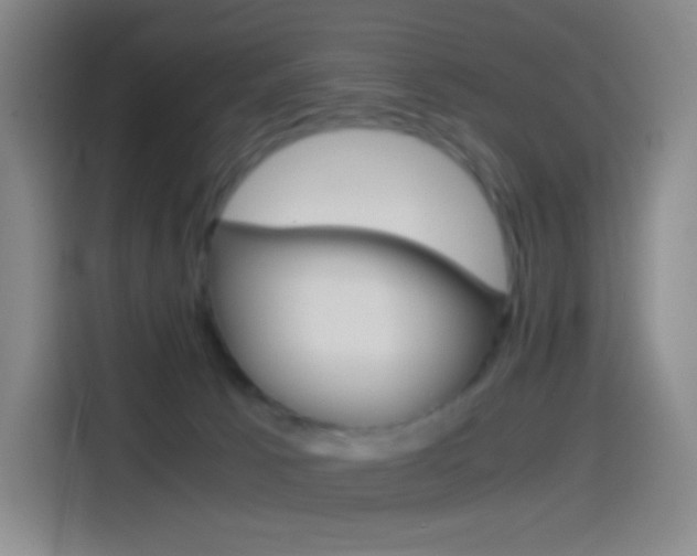 X0000114560033200910191020