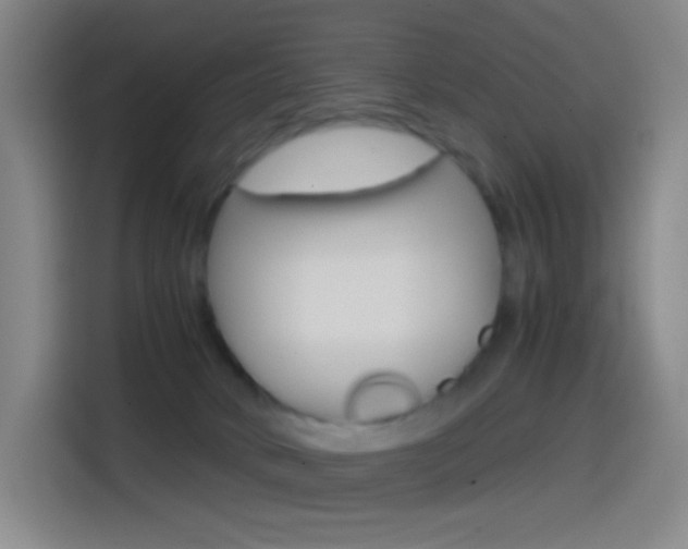 X0000114560034200910191020