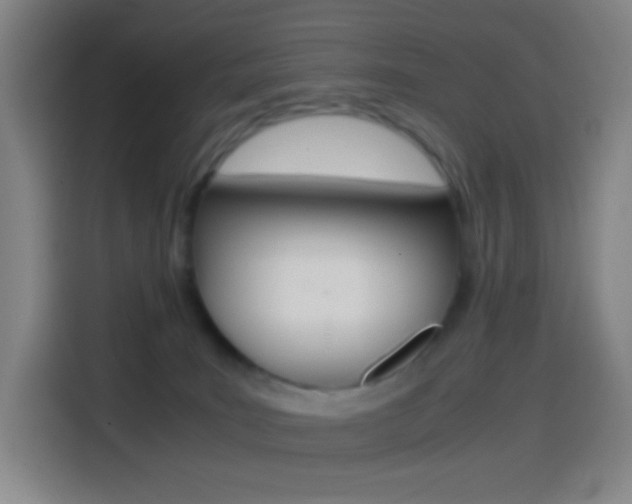 X0000114560035200910191020