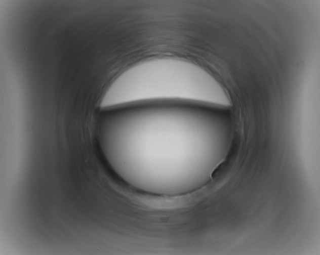 X0000114560036200910191020