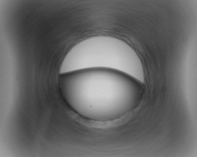 X0000114560037200910191020
