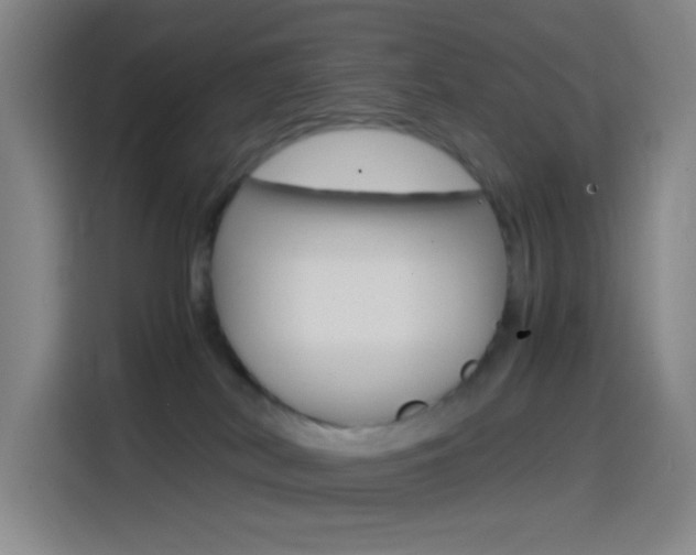X0000114560038200910191020