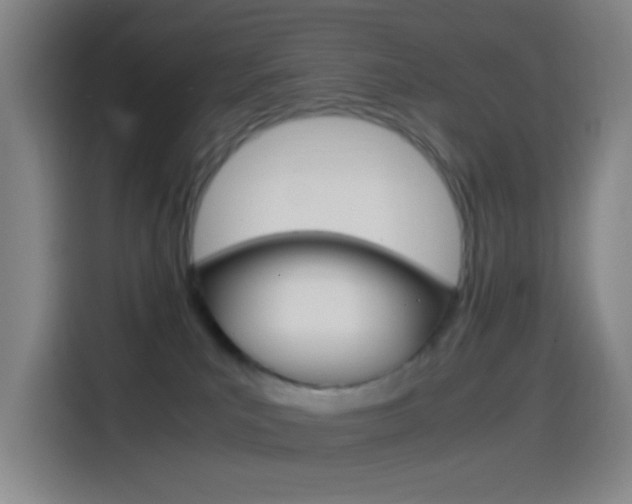 X0000114560039200910191020