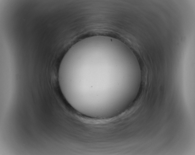 X0000114560040200910191020