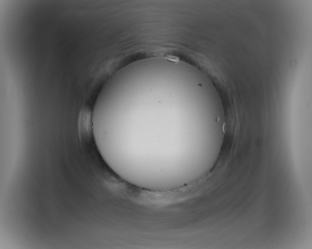 X0000114560041200910191020