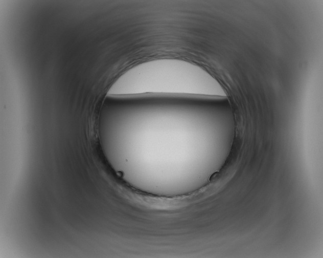 X0000114560044200910191020