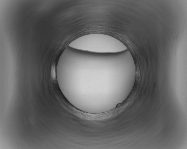 X0000114560046200910191020