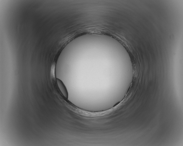 X0000114560047200910191020