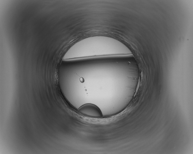 X0000114560048200910191020
