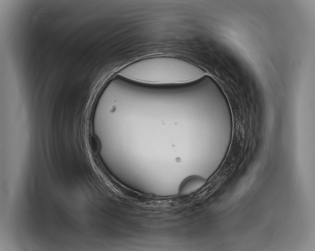 X0000114560049200910191019