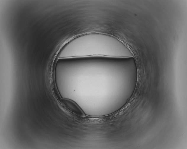 X0000114560050200910191019
