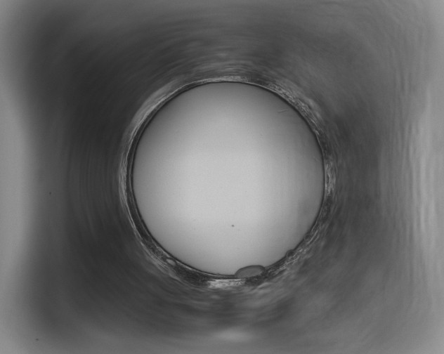 X0000114560051200910191019