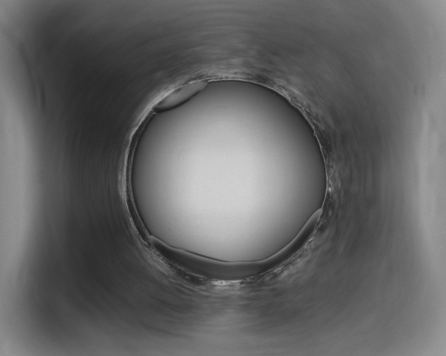 X0000114560052200910191019