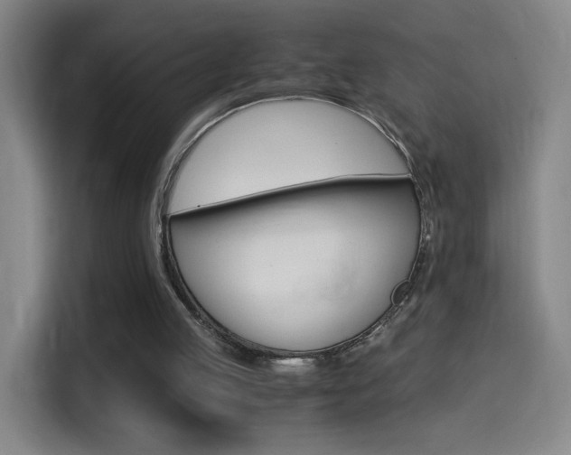 X0000114560053200910191019