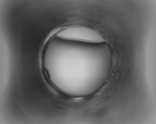 X0000114560054200910191019