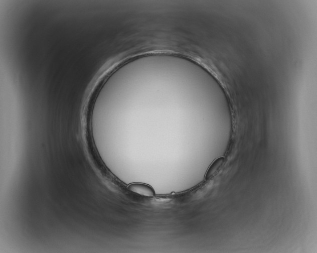 X0000114560055200910191019