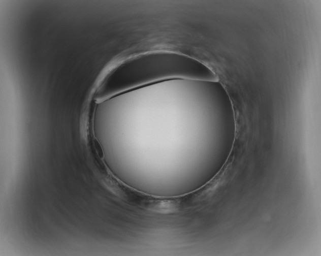 X0000114560056200910191019