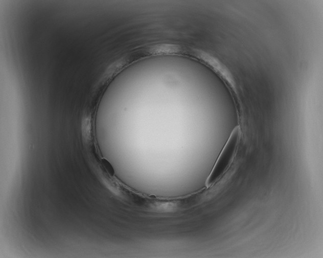 X0000114560057200910191019