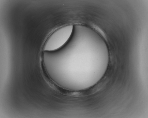 X0000114560059200910191019